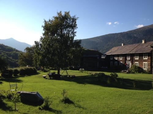 a house in a field with a tree in front of it at Kvaale Gard in Lom