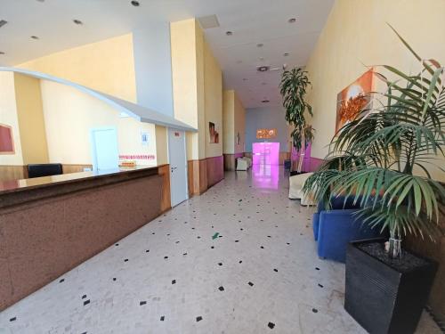 OÁSIS Beach Apartment