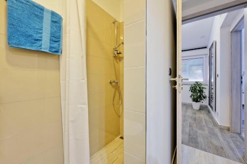 a bathroom with a walk in shower and a toilet at Villa with private pool in village Jadreški in Pula