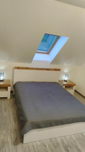sypialnia z łóżkiem i świetlikiem w obiekcie Apartamenty wakacyjne w Ślesinie