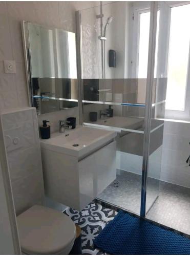 une salle de bain avec un lavabo, des toilettes et un miroir dans l'établissement La Nouvelle-Orléans - hyper-centre- 2mn SNCF - Wi-Fi Netflix gratuit, à Niort
