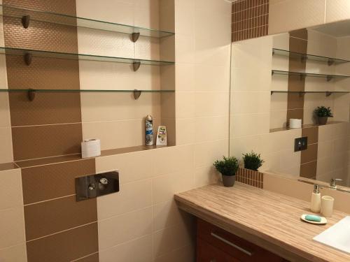 Ένα μπάνιο στο Apartmán 316