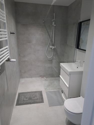 a bathroom with a shower and a toilet and a sink at COSTA Apartamenty w Sarbinowie in Sarbinowo
