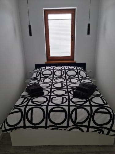 a bed in a room with a window at COSTA Apartamenty w Sarbinowie in Sarbinowo