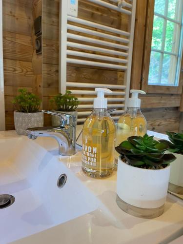 Deux bouteilles de savon et une plante sur un évier dans l'établissement Le Refuge de Belbriette, chalet au coeur de la nature avec spa, à Xonrupt-Longemer