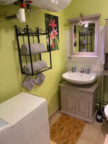 een badkamer met een wastafel en een spiegel bij Appartement Cosy avec jardin privatif et garage in Fontainebleau