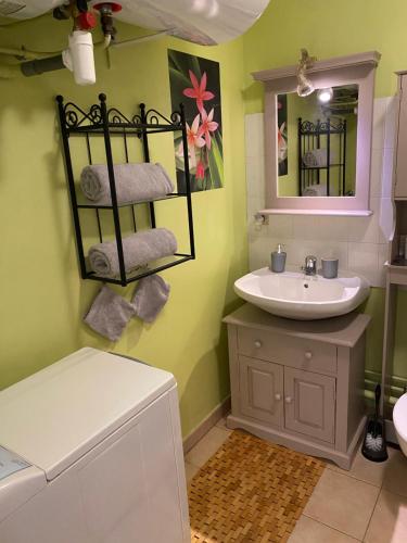ein Badezimmer mit Waschbecken und Spiegel in der Unterkunft Appartement Cosy avec jardin privatif et garage in Fontainebleau