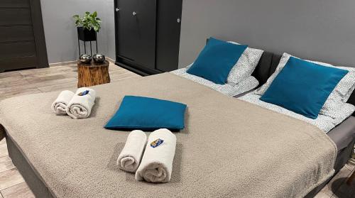 Posteľ alebo postele v izbe v ubytovaní Apartamenty Pod Uwalonym Dębem