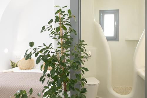 a plant sitting next to a bed in a room at Majestique of Naxos in Naxos Chora