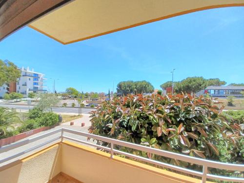 Fotografie z fotogalerie ubytování Castelos Beach Apartment 1 v destinaci Portimão