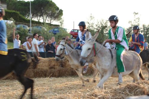 a group of people riding horses in front of a crowd at Le Terrazze Del Chianti b&b Residenza d'Epoca e di Charme in Tavarnelle in Val di Pesa