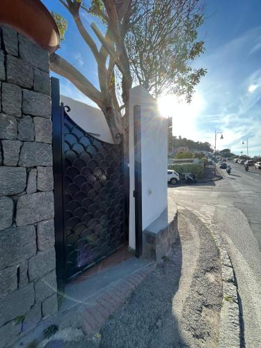 a gate with a tree on the side of a building at Smeraldino in Ischia
