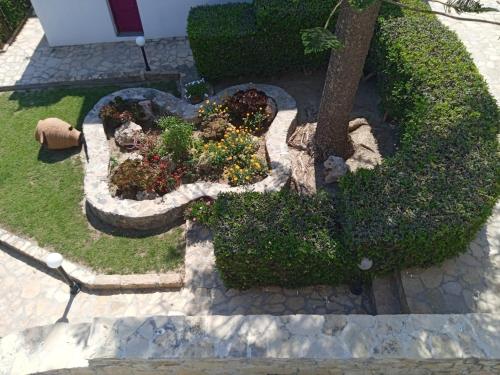 a garden with flowers and a tree in the middle at Nefeli Hotel Leros in Agia Marina