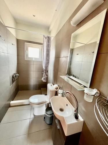 a bathroom with a white toilet and a sink at Vaso Beach Front Villa in Ialysos