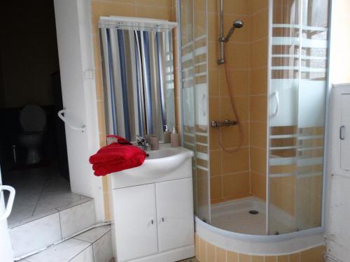 La salle de bains est pourvue d'un lavabo et d'une douche. dans l'établissement Studio Séquoia au pied du Château, à Saumur