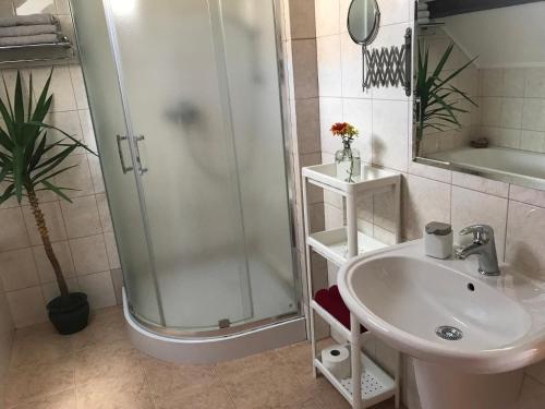 y baño con ducha y lavamanos. en Apartmán Silvia, en Komárno