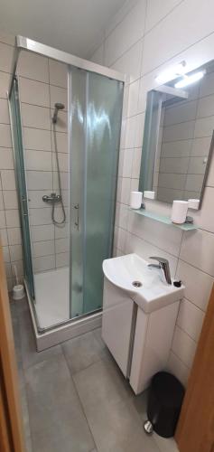 a bathroom with a shower and a sink and a mirror at Apartment Podkuze in Mojstrana