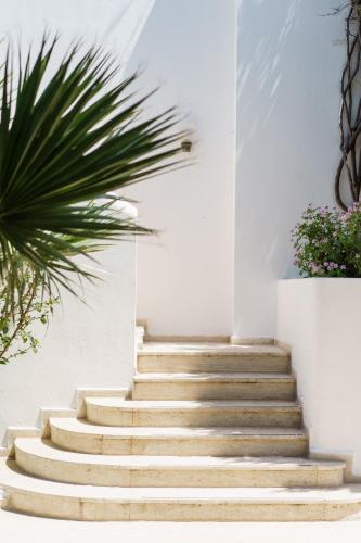 a set of stairs in a house with a palm tree at Costa Sariyaz Hotel Bodrum in Bodrum City