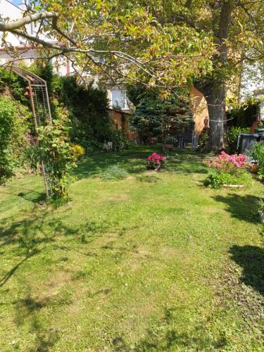 a yard with a tree and some grass and flowers at Pension Beránek in Prague