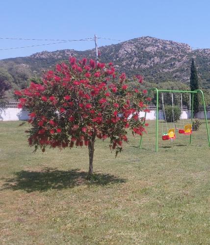 Mia Country House – Photos 3