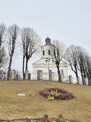 Galería fotográfica de Pas Stefą en Telšiai