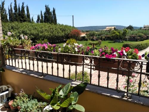 Jardín al aire libre en Le Rose