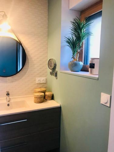 La salle de bains est pourvue d'un lavabo, d'un miroir et d'une plante. dans l'établissement Au petit bonheur de Claire et Jo, à La Chapelle-Caro