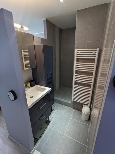 une salle de bain avec un lavabo et des toilettes dans l'établissement Superbe appartement duplex en hyper centre, au Puy-en-Velay