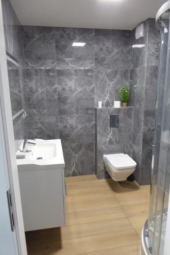 a bathroom with a toilet and a sink at Dziwnówek Słoneczne Tarasy Gray in Dziwnówek