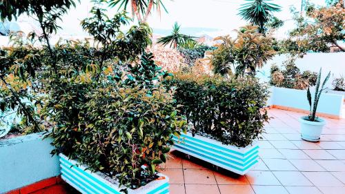 Gallery image of GB Rooms in Ksamil