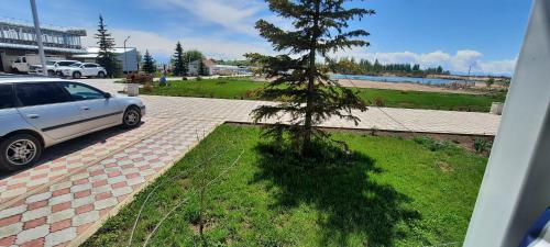 a car parked next to a small pine tree at Уютный коттедж на берегу Иссык-Куля, Киргизия in Chok-Tal
