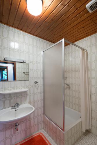 un bagno con doccia e lavandino di Ferienwohnungen Casa Ri(e)sig a Leiwen