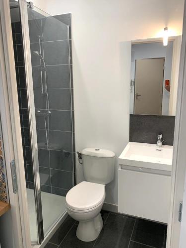une salle de bain avec toilettes, lavabo et douche dans l'établissement Studio République #2, à Perpignan