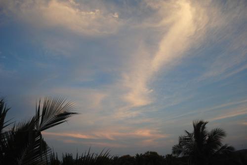 a cloudy sky with palm trees in the foreground at Vinodhara Guest House in Mahabalipuram
