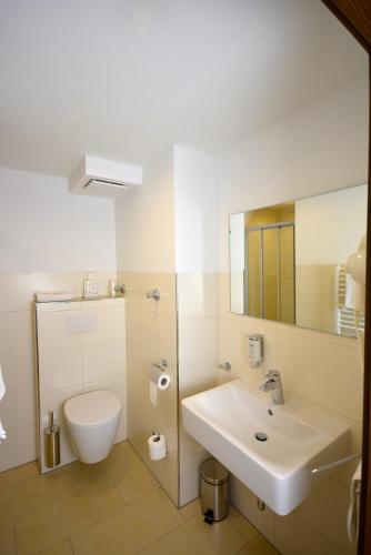 a bathroom with a sink and a toilet and a mirror at Hotel Kehrenkamp in Hagen