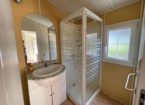 La salle de bains est pourvue d'un lavabo et d'une douche avec un miroir. dans l'établissement Logement 2 chambres avec jacuzzi sur terrain en pleine nature, à Beaucaire