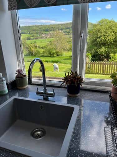 a kitchen sink with a view of a horse through a window at No.1 Bloom Apartments, Bath in Bath