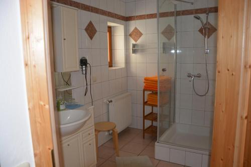 y baño con ducha y lavamanos. en Bauernhof Grain, en Feldbach