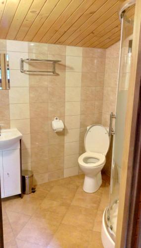 a bathroom with a toilet and a sink at Agroturystyka ZIELONA ZAGRODA w Kosztowej in Dubiecko