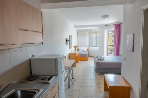 Kuchyň nebo kuchyňský kout v ubytování Hotel Arethousa
