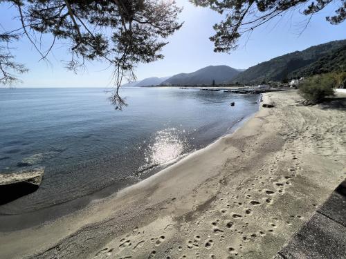a beach with footprints in the sand and water at Testa di Monaco - Basic Beach Accommodations in Capo dʼOrlando