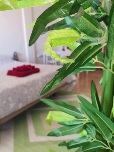 Postel nebo postele na pokoji v ubytování Apartament puerto