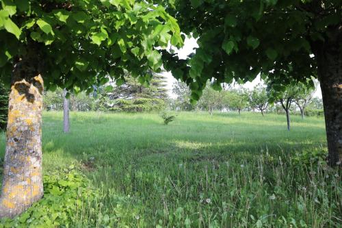 a field of grass with a tree in the foreground at Villa Strada dei Monti Sibillini in Montefortino