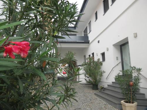 Zahrada ubytování Gartenpension Fischl