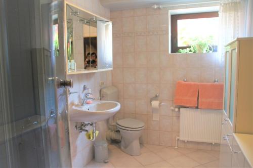 a bathroom with a sink and a toilet and a mirror at Ferienwohnung Hofmann in Bad Kreuznach