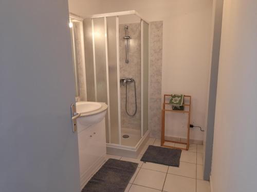 a bathroom with a shower and a toilet at le gazounet in Castelsarrasin