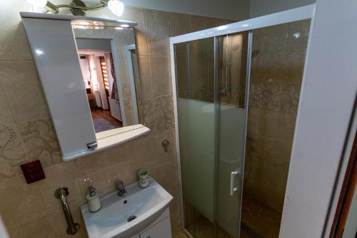een badkamer met een douche, een wastafel en een spiegel bij La Bebe 2 Beds in Hunedoara