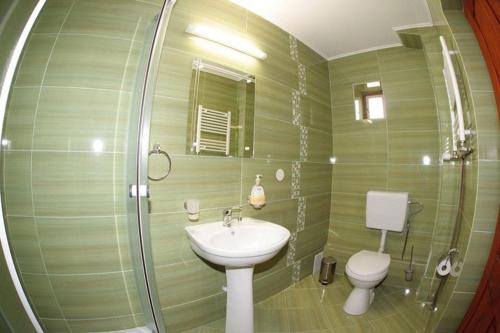 bagno verde con lavandino e servizi igienici di Casa dintre Vii a Jidvei