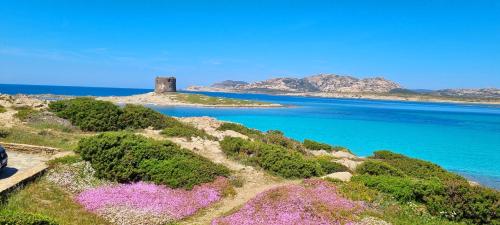 a view of a body of water with purple flowers at La villetta TRE PALME in Valledoria