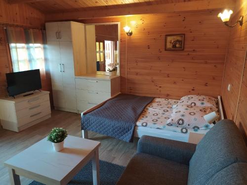 um quarto com uma cama, um sofá e uma televisão em Domki Letniskowe Nika em Mikolajki